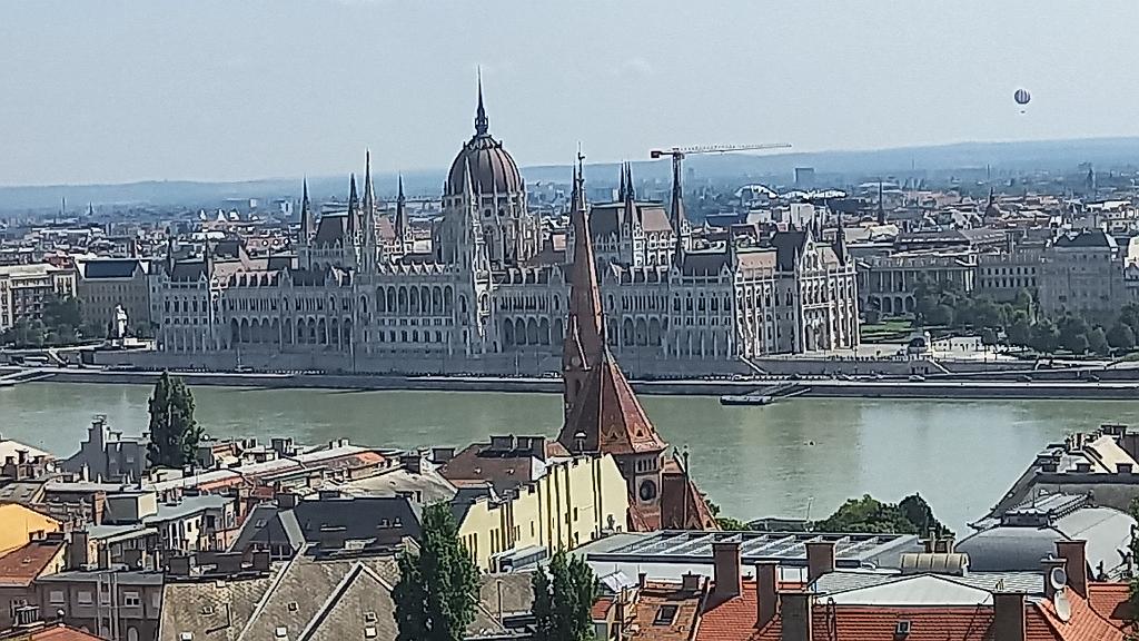 Donau (339)